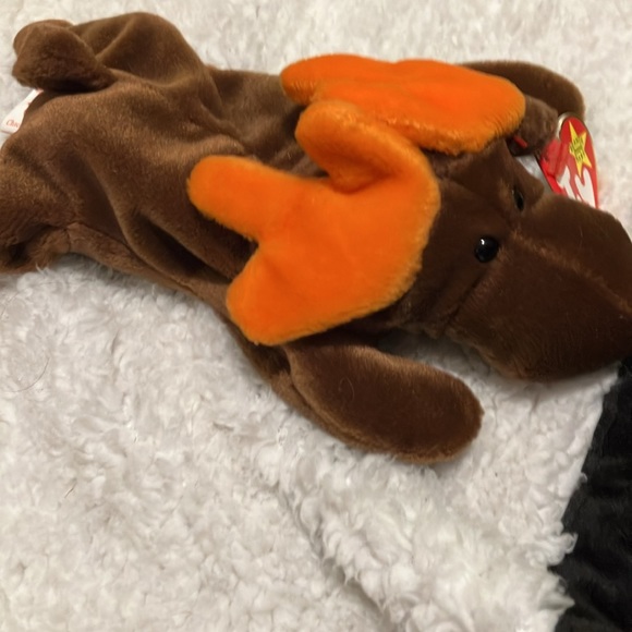 "Chocolate" Beanie Baby in new condition - Picture 2 of 6
